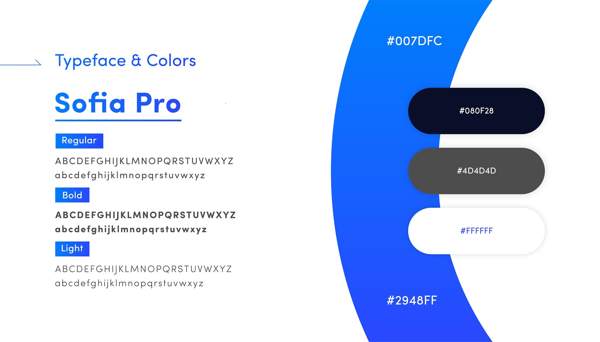 Baadal Enterprise Logo Typeface & Color