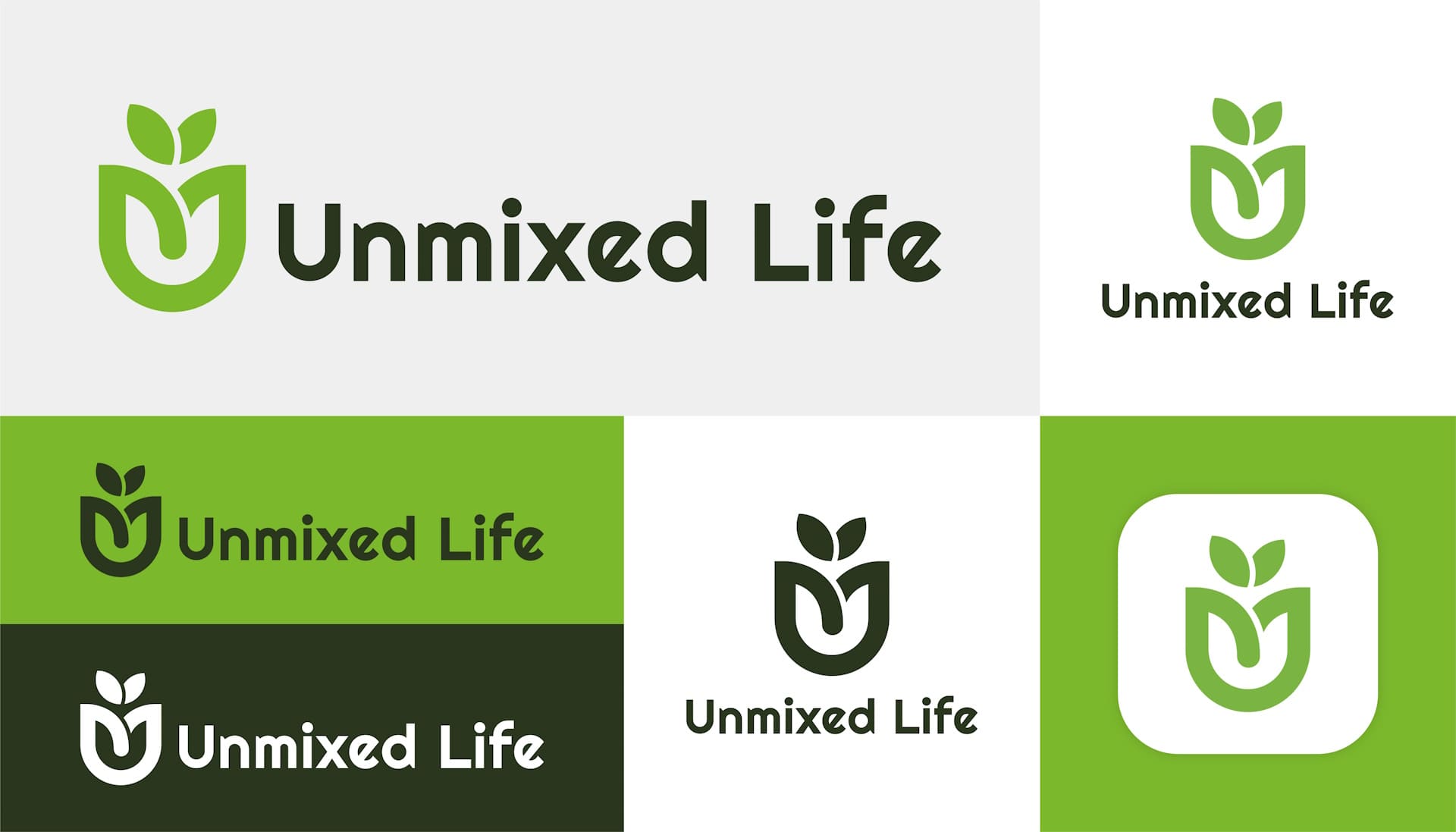 Unmixed Life Logo Versions