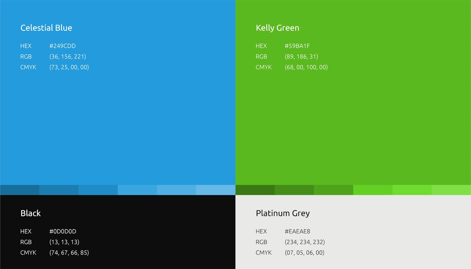 Virtueinfo Color Palette