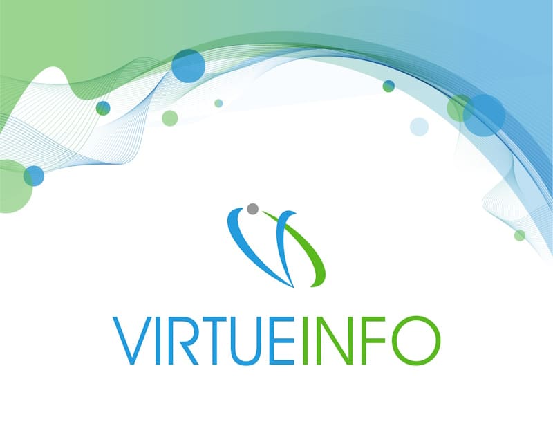 Virtueinfo Logo & Branding Case Study